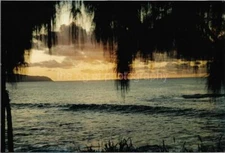 Hawaiian Paradise FOUND PHOTO Color HAWAII Original Snapshot VINTAGE  14 27 P