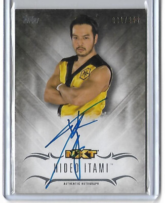 WWE HIDEO ITAMI フィギュア 直筆サインカー　NXT KENTA s-l400.jpg
