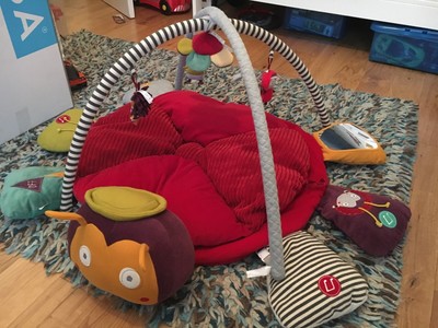 lotty ladybird playmat and gym