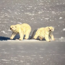 Large Life-Like Resin Polar Bears (L)