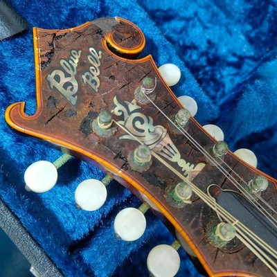 BLUE BELL F-10 Mandolin Bluebell | eBay
