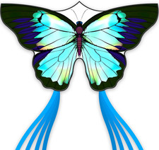 Green Butterfly Kite Premium Quality, Easy to Fly Perfect Outdoor Toy for Kid...