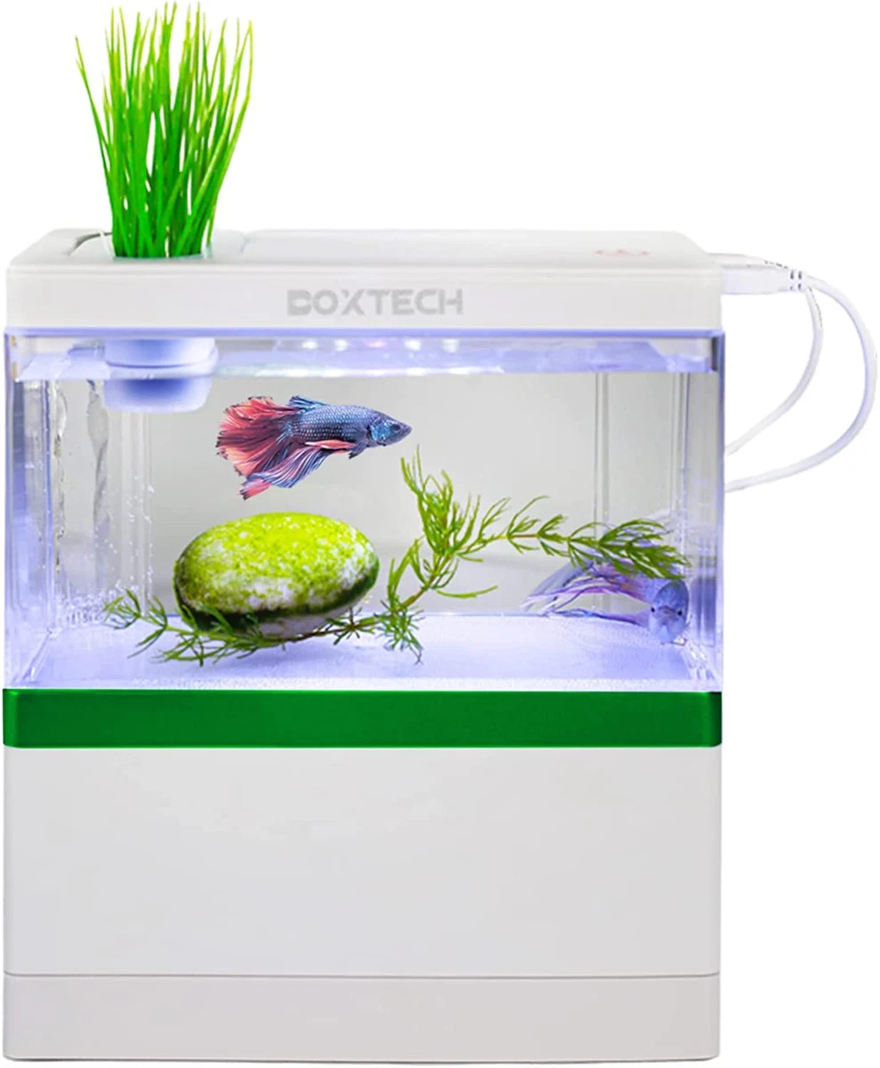 Fish Tank Desktop Aquarium Kit,1.1 Gallon Betta Acrylic Fish Bowl with USB  Power