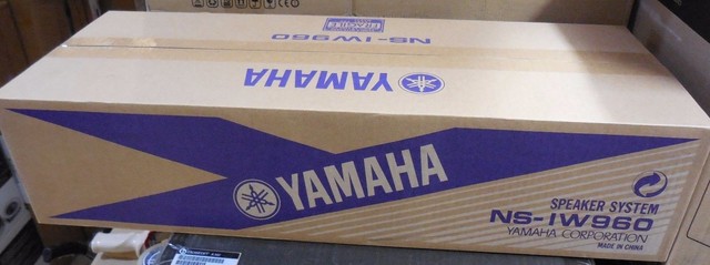 yamaha 100m