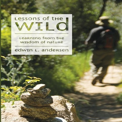 Lessons of the Wild Edwin L. Andersen Paperback Wipf and Stock Pu