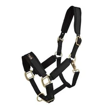 BACK ON TRACK Werano Black Halter (206400)