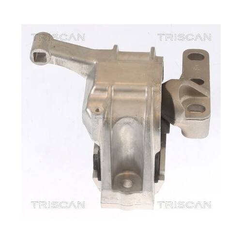 1X Lagerung, Motor Triscan 8505 29134 Passend FüR Audi Seat Vw-image
