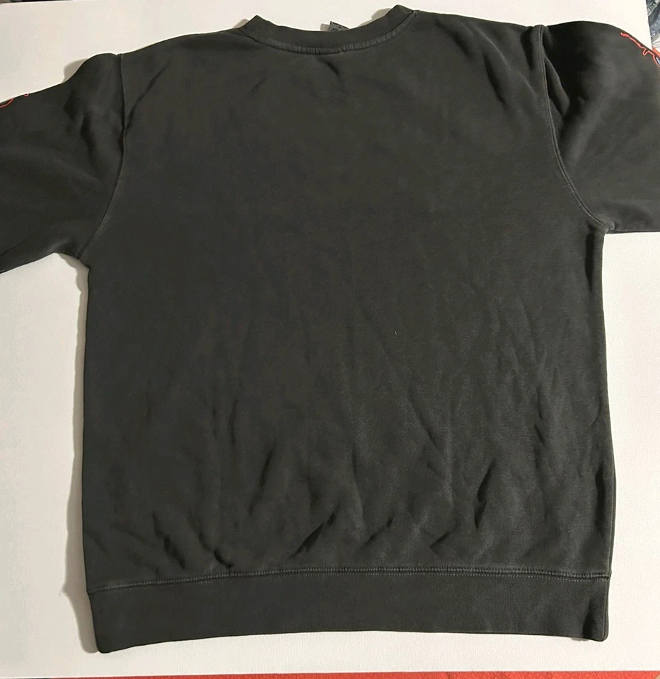 Sudadera de Concierto Ruston Kelly 'Stream & Destroy' Gris, Calaveras y Serpientes Talla M Foto 3 de 4