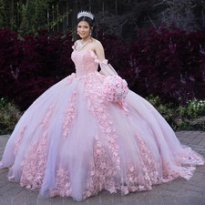 Pink Ball Gown 15 Quinceanera Dresses 3D Floral Birthday Party Gown Sweet 16