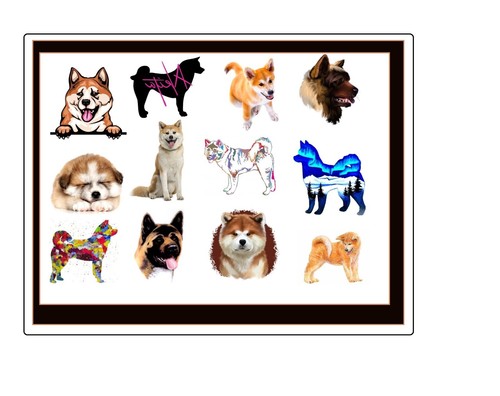 Akita Dog Collection - Picture 52 of 59
