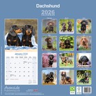 Bild 3 von 8