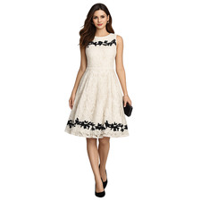 Adrianna Papell Lace Fit Flare Dress Ivory Black Floral Applique Sleeveless 10