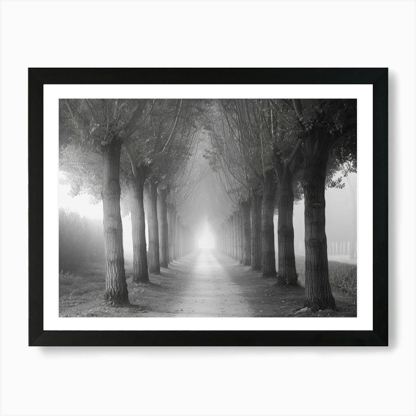 Path Through The Trees 1 Art Print Framed Wall Art Poster Canvas Print Picture