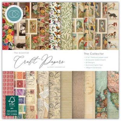 Craft Consortium Double-Sided Paper Pad 6X6 40/Pkg-The Collector