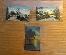 1950er Bermuda Postkarten Einsame Palme Somerset Yankee & Bermuda Drogerie X3