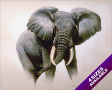 WILD AFRICAN ELEPHANT ANIMAL PAINTING AFRICA ART REAL CANVAS PRINT