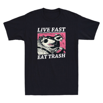 Live Fast Eat Trash And Get Hit By A Car Sunset Raccoon Vintage Men's T-Shirt