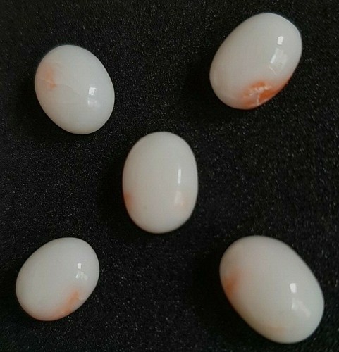 5'Pcs100%Natural japan's coral cabochon,White Pink Precious coral Loose gemstone - Picture 4 of 6