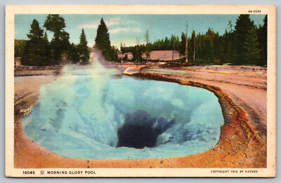 Postcard Morning Glory Pool Yellowstone National Park, Wyoming F12