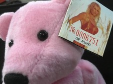 1999 Sable WWF Atttide Bear New w/tags 38 Special