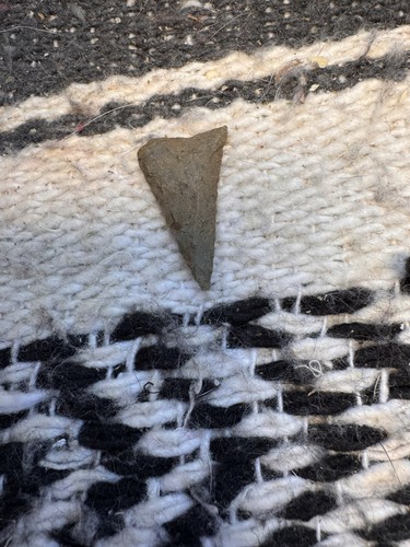 Un bonito período de bosque triangular de Madison del condado de Rockingham Virginia. C6 - Imagen 17 de 18