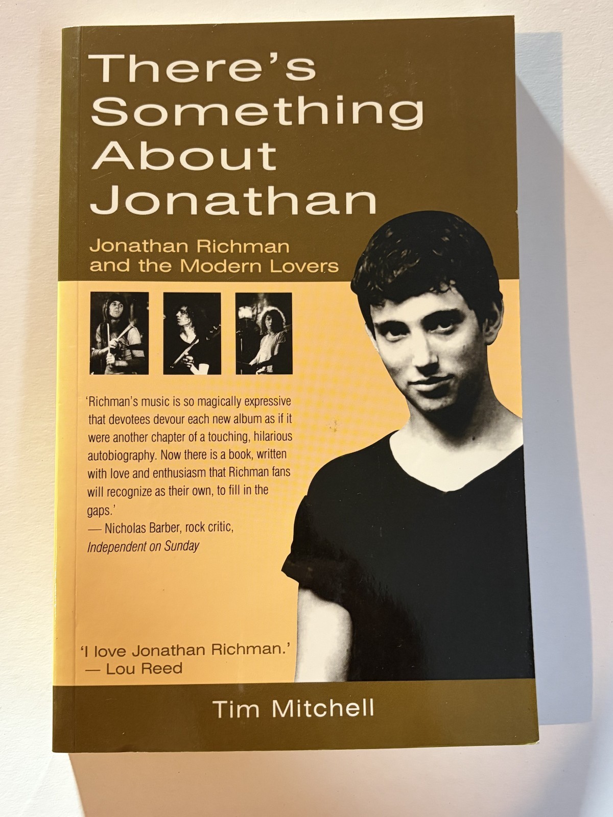 There's Something about Jonathan : Jonathan Richman, Modern Lover Paperback