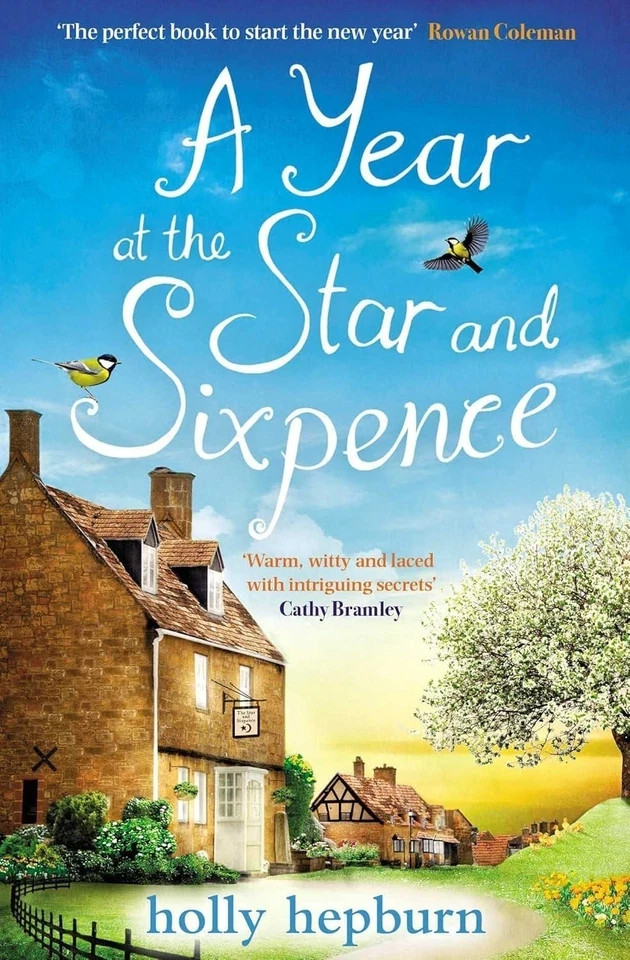 Holly Hepburn Unisex Collection 4 Books Set(A Year At The Star And Sixpence, A Year At Castle Court, Last Orders At The Star And Sixpence & The Picture Hous - Image 4