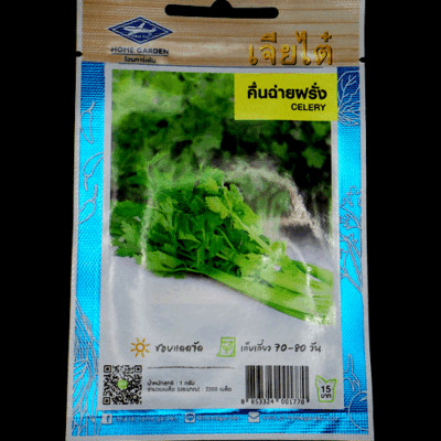 CELERY UTAH  STRINGLESS STALK CELERY Strain 2200  seed ***คื่นฉ่ายฝรั่ง***