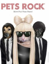 Pets Rock®: More Fun Than Fame! (Y) by  in Used - Like New