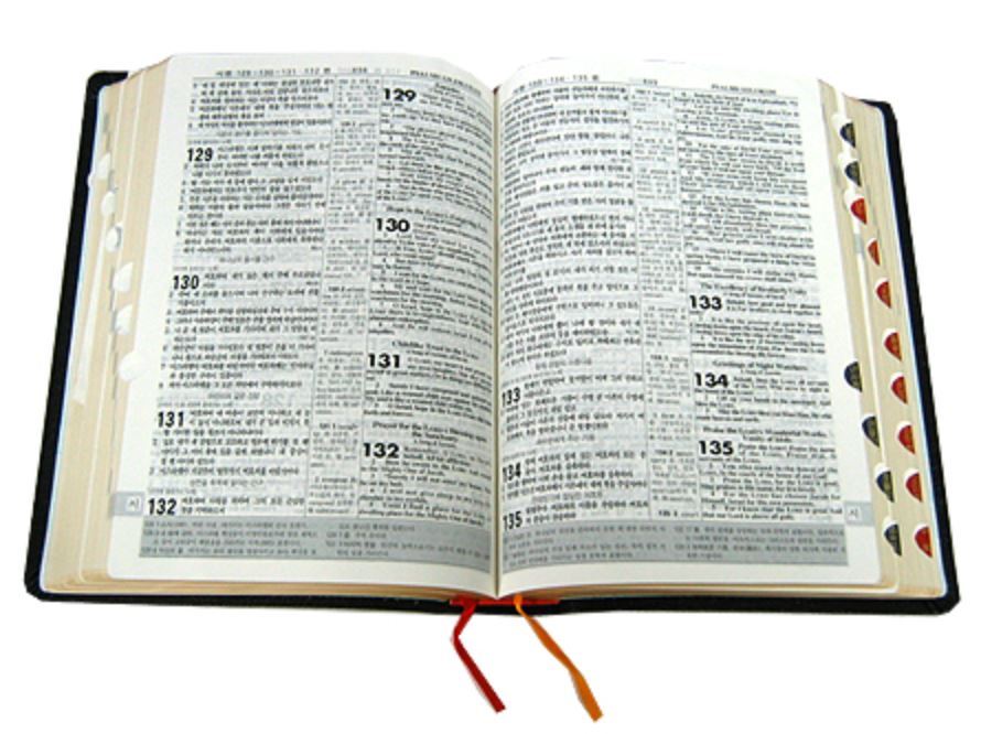 NASB English Korean Bible Black Leather No zipper NASB bible eBay