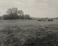 Vintage 1960s Tractor Farming Farm Hay Field Original Old Real B&W Photo P13q7