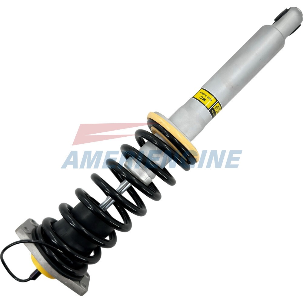 2X Rear Shock Struts Assys Fit Maserati Quattroporte M139 Sport Gt 2006-13 4.2L