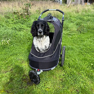 InnoPet 3 Wheel Jogging Dog Stroller Foldable w/ Internal Tether M/L Black 30kg