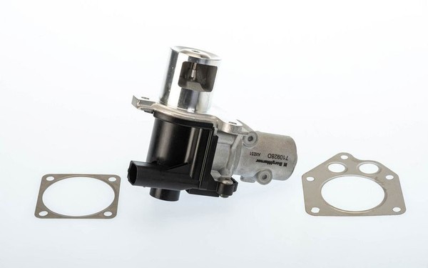 BorgWarner (Wahler) 710928D Agr-Ventil FüR Dacia Passend FüR Nissan Renault-image