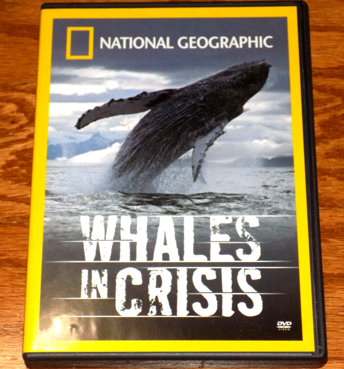 WHALES IN CRISIS Whale Ocean Mammals Oceans NATIONAL GEOGRAPHIC