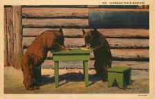 Postcard Brown Bears Cabin Table Linen Unposted