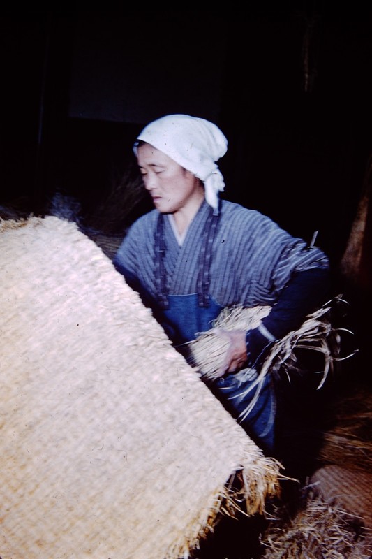 1950s Person Working In  Japan Red Border Kodachrome   Slide CO-H