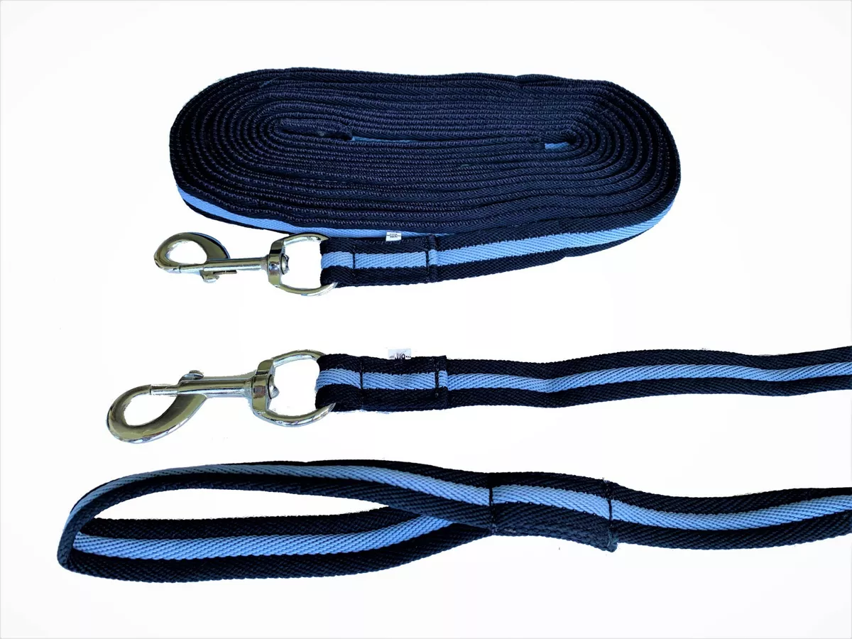 Lunge leads store for dogs