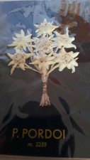 m. 2239 P.PORDOI echtes Edelweiss