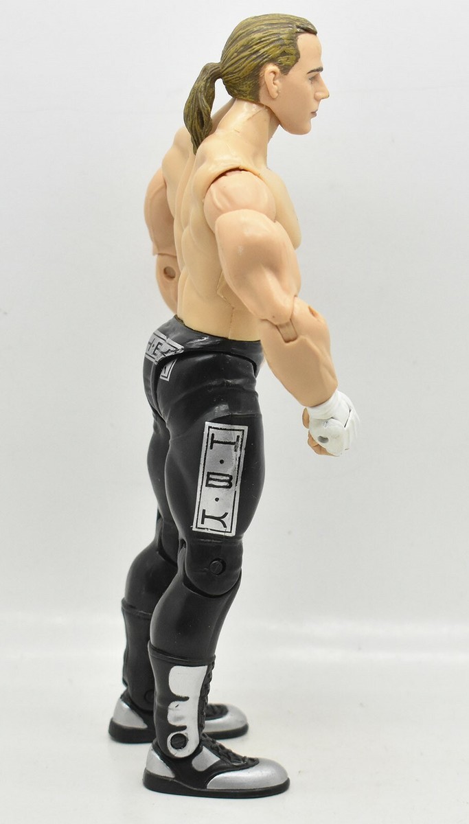 WWE Shawn Michaels RAW 10th Anniversary Loose Wrestling