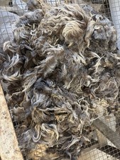4 lb Navajo Churro Oveja Lana Fibra Vellón Giratorio Tejido Fieltro Mechones de Cabello