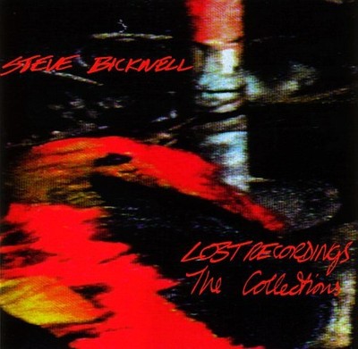 CD, P/Mixed Steve Bicknell - Lost Recordings - The Collections