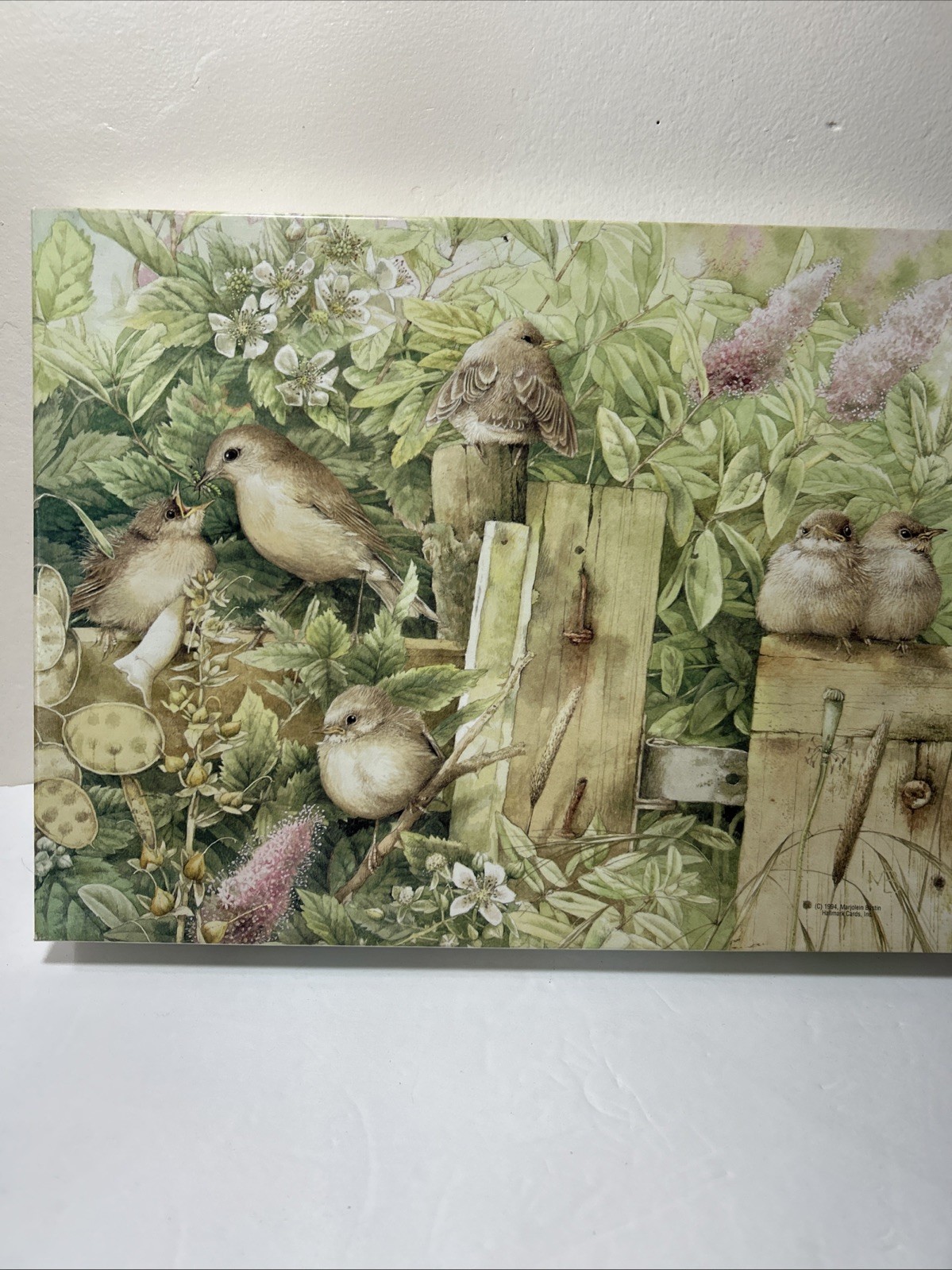 Picture 1 of 3