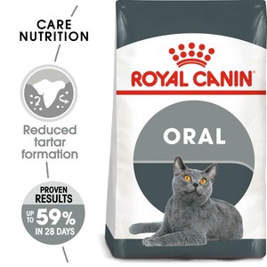 royal canin dental cat food