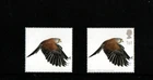 GB QEII 2003 BIRDS OF PREY MISSING BROWNISH GREY SINGLE MNH SG;2336ab RARE