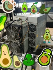 BITMAIN ANTMINER S19 95th - ALL AVOCADOS!