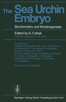 G. Czihak | The Sea Urchin Embryo | Taschenbuch | Englisch (2011) | Xx