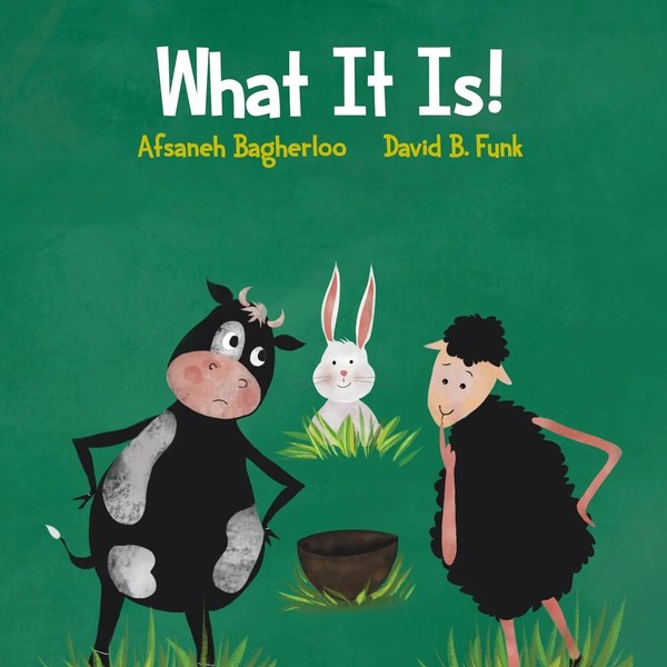 David B Funk (U. A.) | What It Is! | Taschenbuch | Englisch (2020)-image