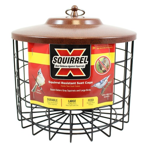 Beautiful Cage Bird Feeder Squirrel Resistant Weather Resistant 2 Suet Cake - Picture 4 of 5