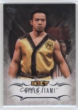 2016 Topps WWE Undisputed NXT Prospects Hideo Itami #NXT-19 2o7